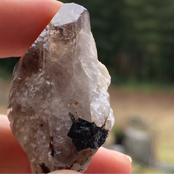 Smoky Quartz with Aegirine from Malawi, South Africa - Picture 10 of 15